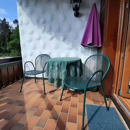 Baerenhuesli No 7 Prázdninový dům Titisee-Neustadt