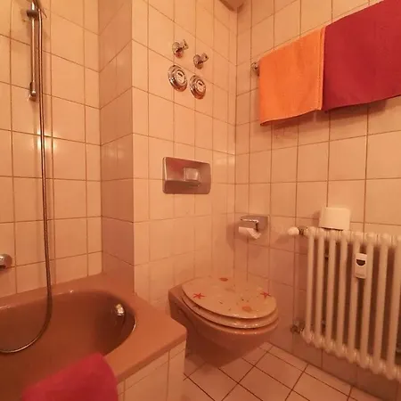 Baerenhuesli No 7 Prázdninový dům Titisee-Neustadt
